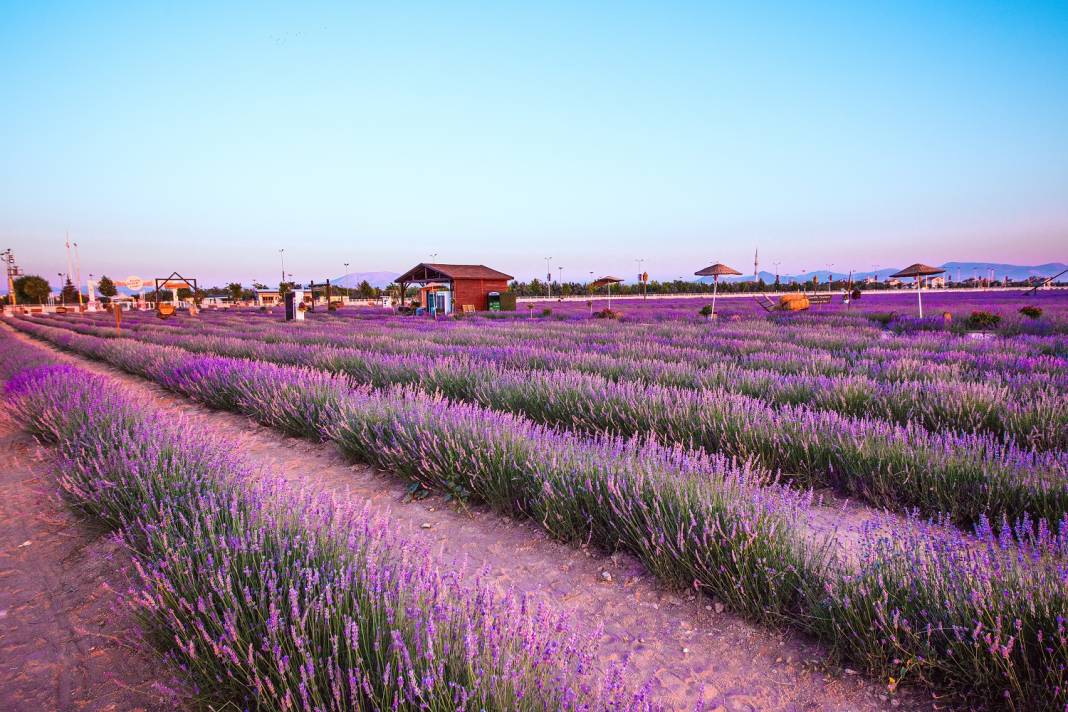 Karatay’da dijital turizm hamlesi! Visit Karatay yayında 9